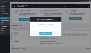 Entrer votre clé API dans l'extension WordPress Imagify